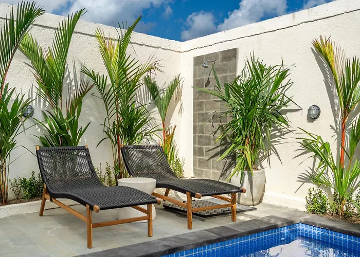 Aleksa - With Rooftop&rice Field View Canggu